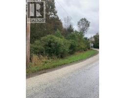 V/L BRUSH SIDE ROAD - 3