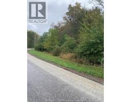 V/L BRUSH SIDE ROAD - 4