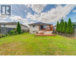 1174 CLOVER - 45