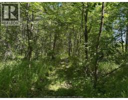 9773 9TH CONCESSION RD. - 39