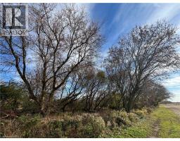 567 BURTCH Road - 3