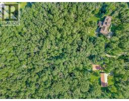 169 CLARKE Road - 6