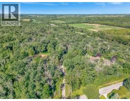 169 CLARKE Road - 7