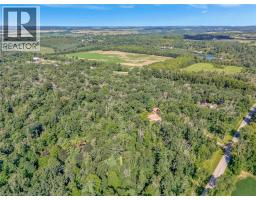 169 CLARKE Road - 8