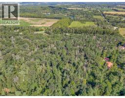 169 CLARKE Road - 9