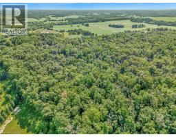 169 CLARKE Road - 3