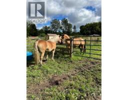 761 LYNDEN Road - 16