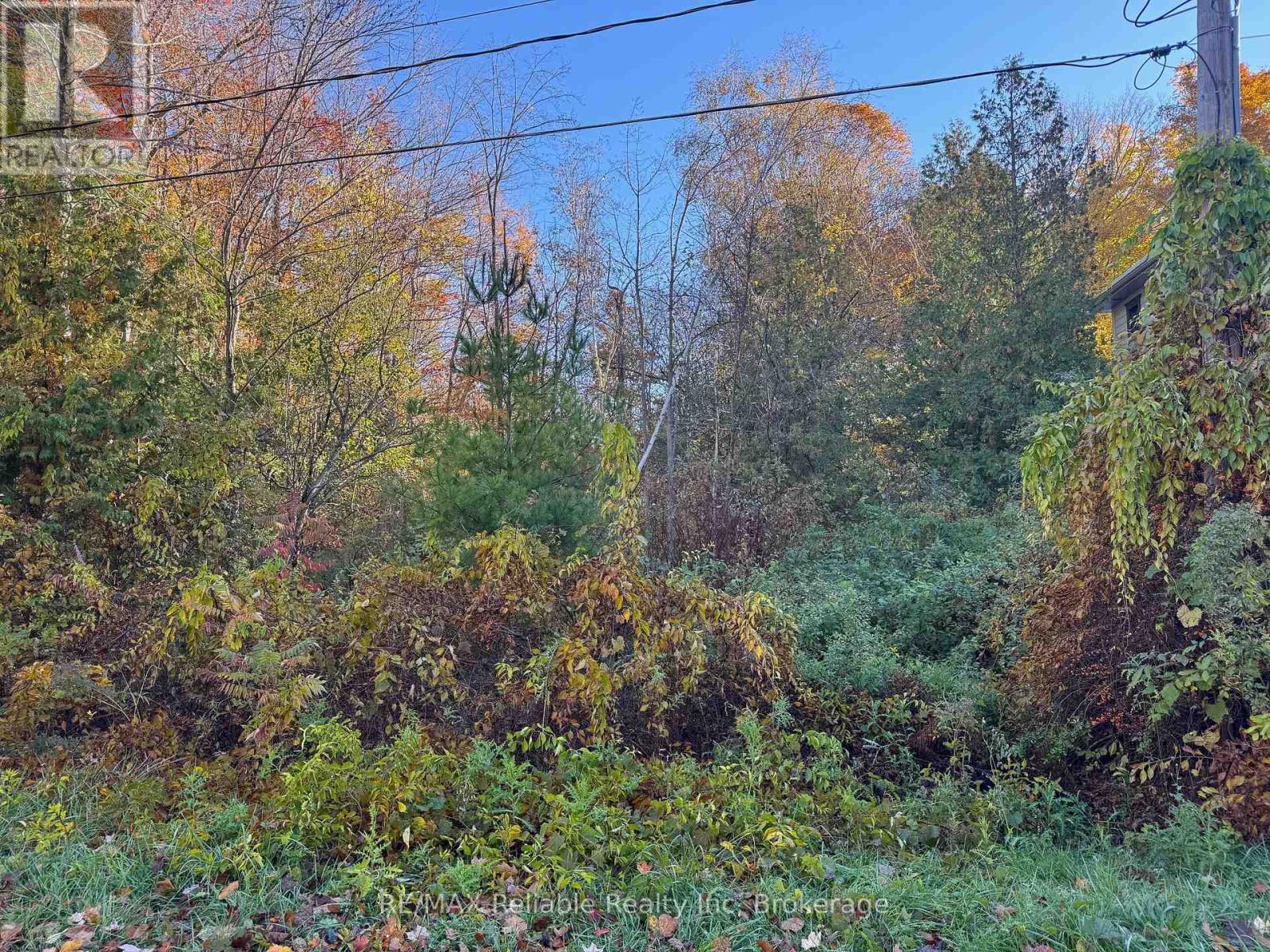 28 GEORGE STREET, Bluewater (Bayfield)