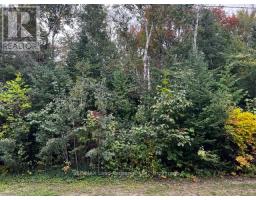 3 Shore Road, MLS X12521940