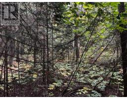 4 Shore Road, MLS X12926600