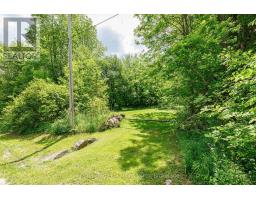 Lot 22 Park Street S, MLS X13420484