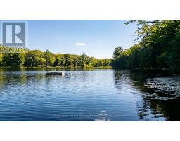74 Lioness Road, MLS X13001706