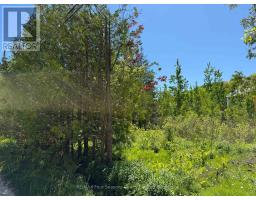 122 James Street, MLS X13229106