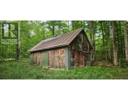 Lot 6 Concession 12 Ndr Bentinck, MLS X13532876