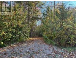 28 George Street, MLS X13638516