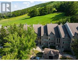 121 - 796404 Grey Road 19, MLS X12263738