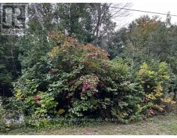 5 Shore Road, MLS X12627818