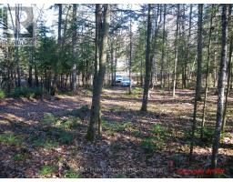 Pcl 20438 & 29803 Upper Walker Lake Road, MLS X12884098