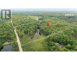 254 Expressway Road, MLS X13426638
