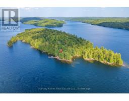 19750 Kawagama Big Trout Island, MLS X13661338