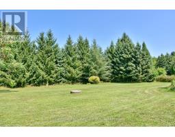 7802 36/37 NOTTAWASAGA SIDE ROAD - 16