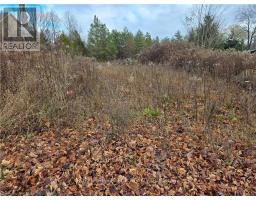 PTLT8ES SALTER STREET - 12
