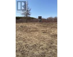541354 14 CONCESSION - 46