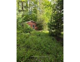 581650 9A SIDE ROAD - 1