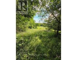 581650 9A SIDE ROAD - 6