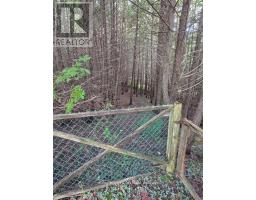 581650 9A SIDE ROAD - 7