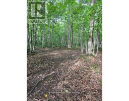 581650 9A SIDE ROAD - 8