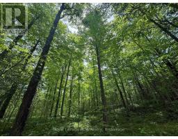 PART LOT 24 GREY ROAD 12 - 3
