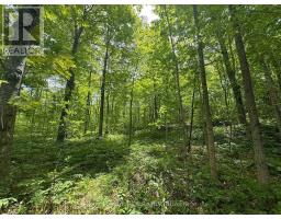 PART LOT 24 GREY ROAD 12 - 4