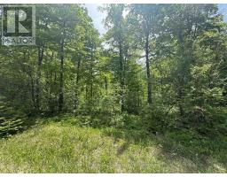 PART LOT 24 GREY ROAD 12 - 6
