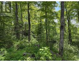 PART LOT 24 GREY ROAD 12 - 9