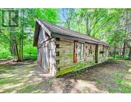 7341 SIDEROAD 12 - 42