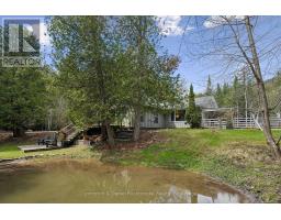 307251 HOCKLEY ROAD - 28