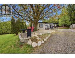 230 MOUNTAIN ASH ROAD - 3