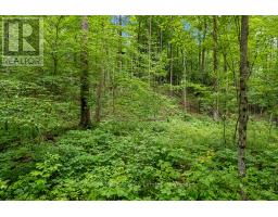 302075 CONCESSION 2 SIDE ROAD - 14
