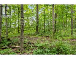 302075 CONCESSION 2 SIDE ROAD - 15