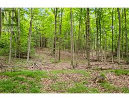 302075 CONCESSION 2 SIDE ROAD - 16