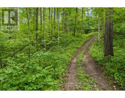 302075 CONCESSION 2 SIDE ROAD - 17