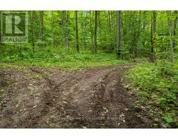 302075 CONCESSION 2 SIDE ROAD - 18