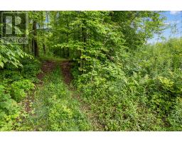 302075 CONCESSION 2 SIDE ROAD - 19