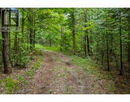 302075 CONCESSION 2 SIDE ROAD - 20