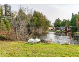 10 SPRUCE AVENUE - 34