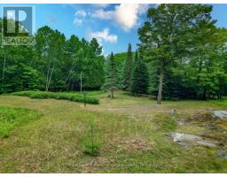 97 CARLING BAY ROAD W - 14