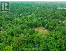 97 CARLING BAY ROAD W - 20