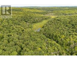 1099 WOLFKIN LAKE ROAD - 35
