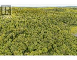 1099 WOLFKIN LAKE ROAD - 36